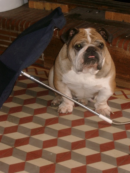 S'tsarine De kalinka des roches blanches