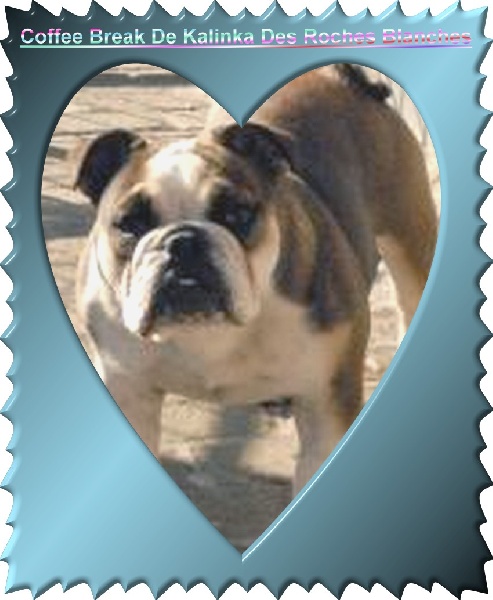 Coffee break De kalinka des roches blanches