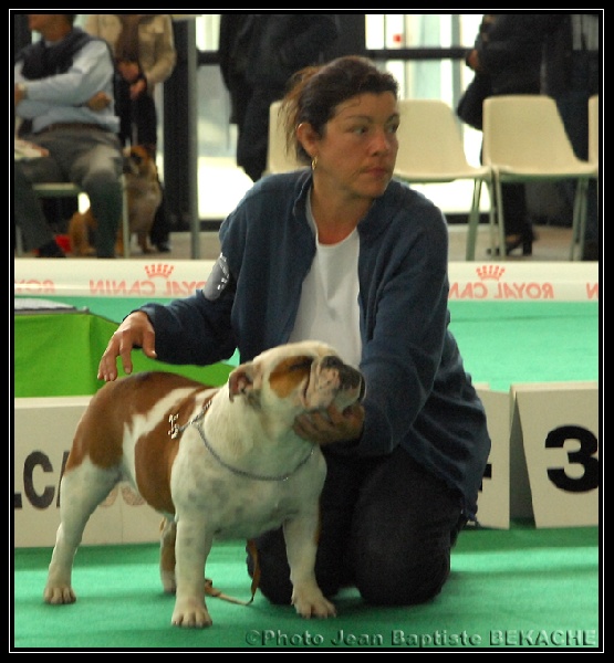 Baïla De kalinka des roches blanches