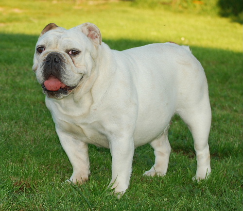 Be my love De kalinka des roches blanches