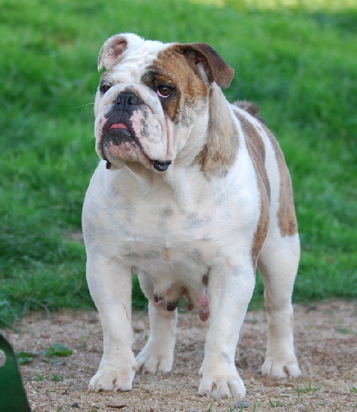 Bloy me kiss De kalinka des roches blanches