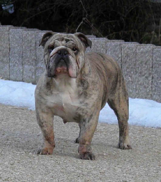 Dust in the wind De kalinka des roches blanches