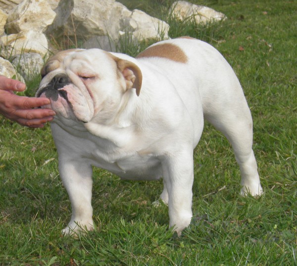 Fascinating adventure De kalinka des roches blanches