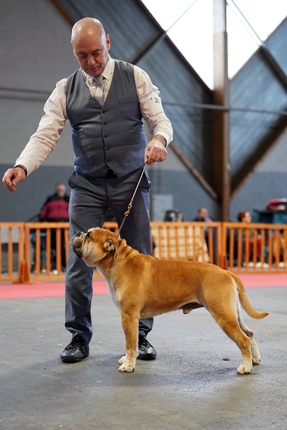 CH. NASH  vom greifenseeblick